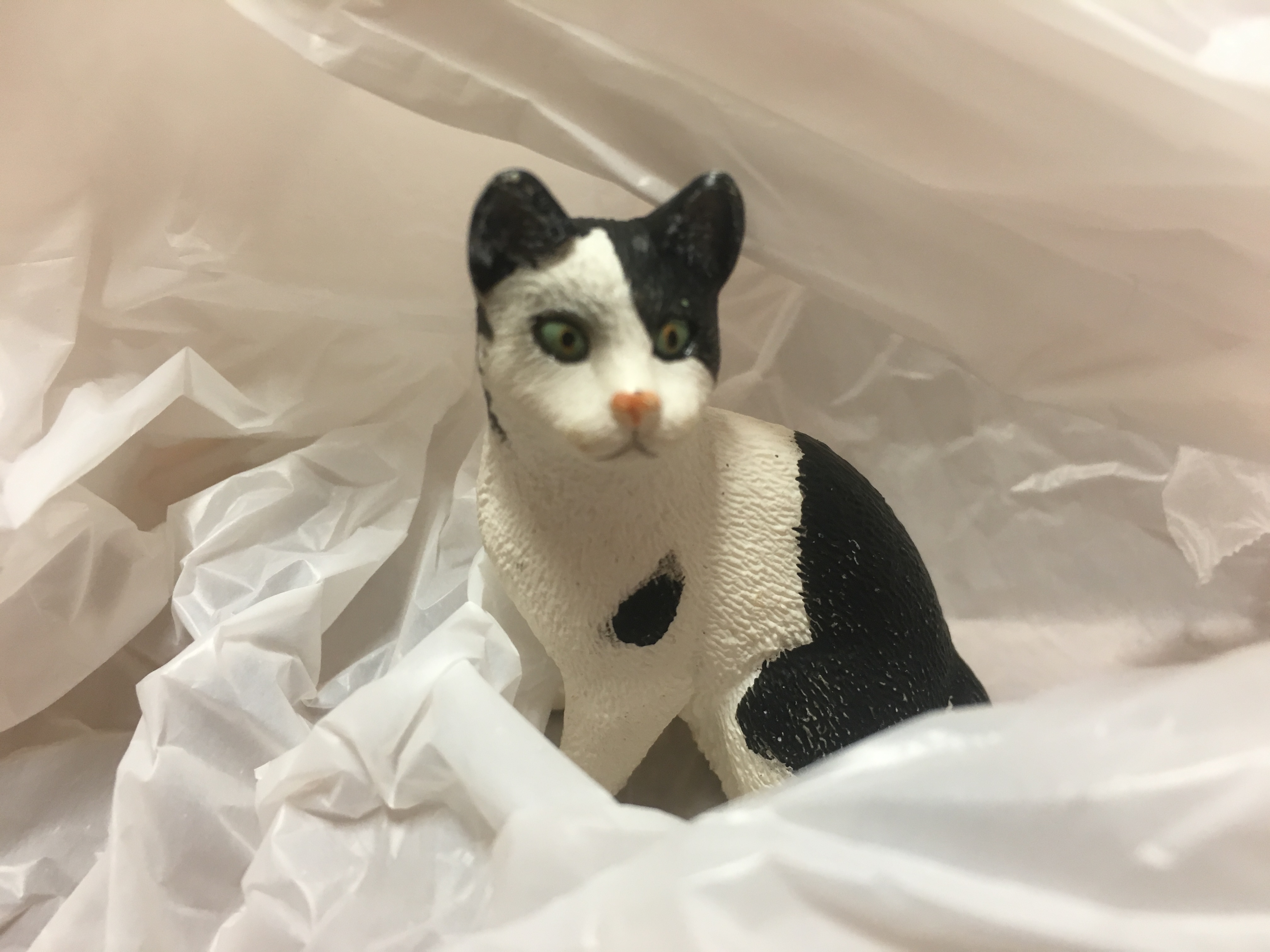 Poking Fun - Cat