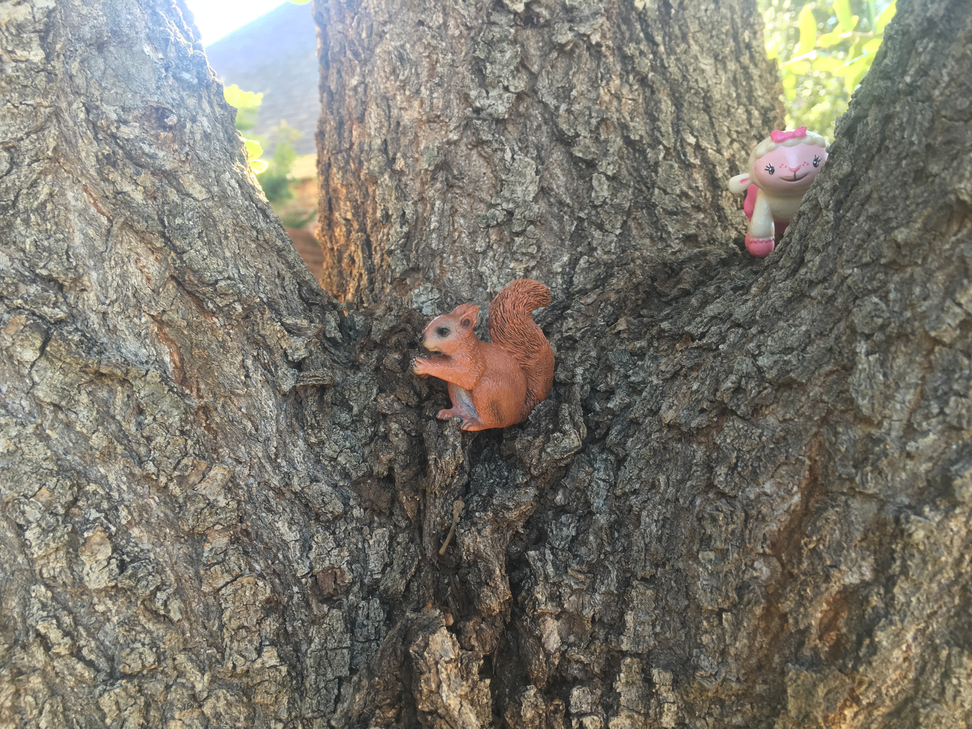 Poking Fun - Squirrel